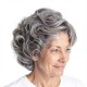 Silver Grey Mixed Short Curly Wig for Middle-Aged and Elderly Women | Voluminous Style