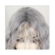 Long Wavy Wig | Gray/Black/Brown - Multiple Colors Available | Curly Hair Style