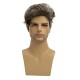 New Men's Fashion Side Parting Side-Swept Bangs Short Straight Hair Gray Gold Wig