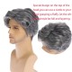 New Men's Gray Side-Part Short Wig for Mature Men, Fashionable, Voluminous, Natural Synthetic Hairpiece