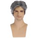 New Men's Gray Side-Part Short Wig for Mature Men, Fashionable, Voluminous, Natural Synthetic Hairpiece