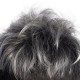 Men's Short Hair Wig, Mixed Color Textured Fluffy Straight Style, Stylish Synthetic Fiber Headpiece