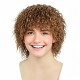 Men's and Women's Curly Wig with Tin Foil Perm Style, Full Head Synthetic Short Curly Hairpiece