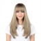 Women's Highlight High Temperature Silk Straight and Wavy Wig Cap