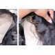 13x6 HD Lace Front Wigs Human Hair Body Wave, 180 Density Pre-Plucked Glueless Wig for Women, 20-34 Inch, 7 Colours
