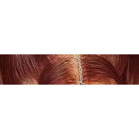 13x6 HD Lace Front Wigs Human Hair Body Wave, 180 Density Pre-Plucked Glueless Wig for Women, 20-34 Inch, 7 Colours